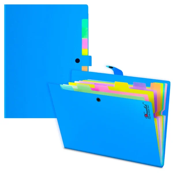 2 File Folder with 10 Pockets
